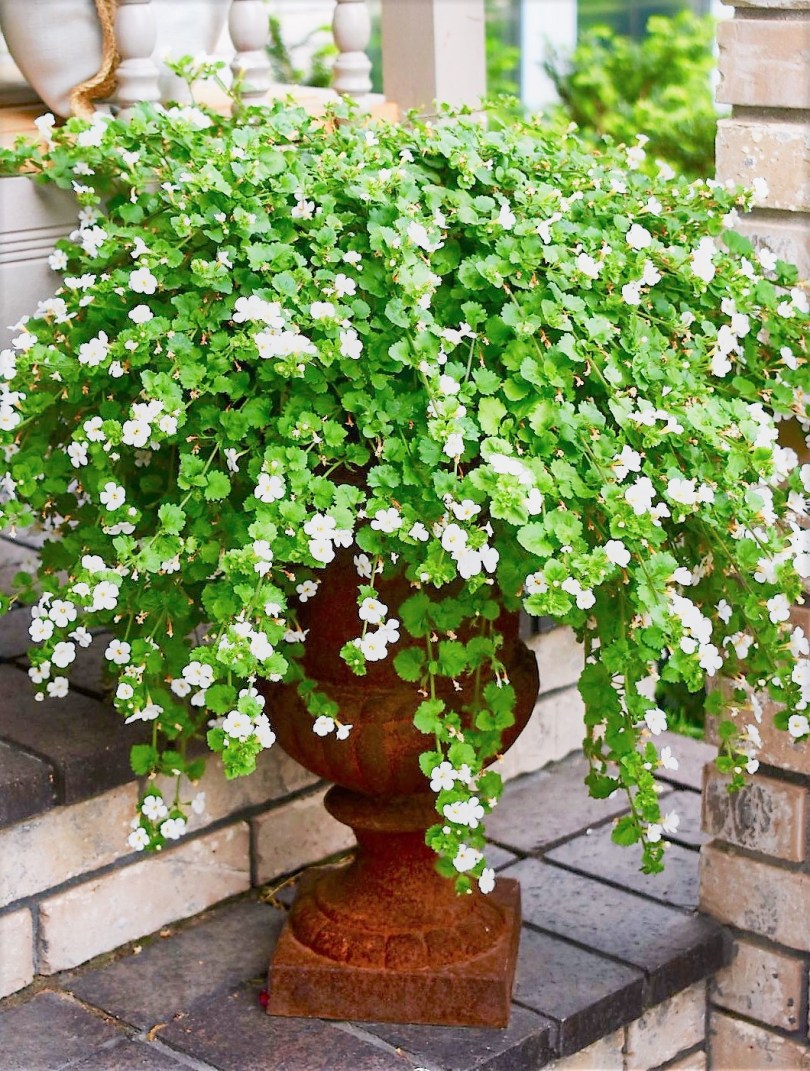 FullSizeRender_1 (2)