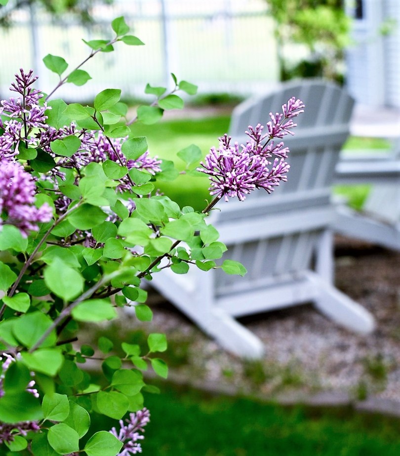 FullSizeRender_8 (2)