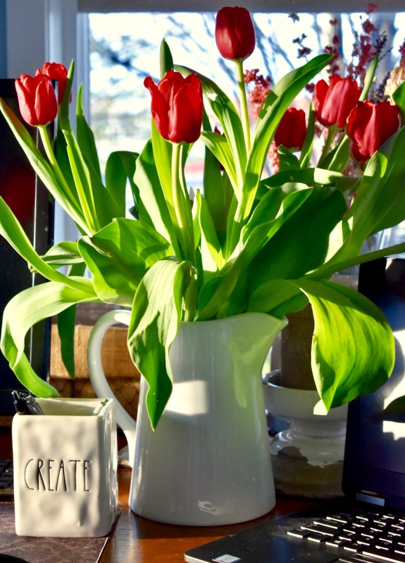 tulips in the sun